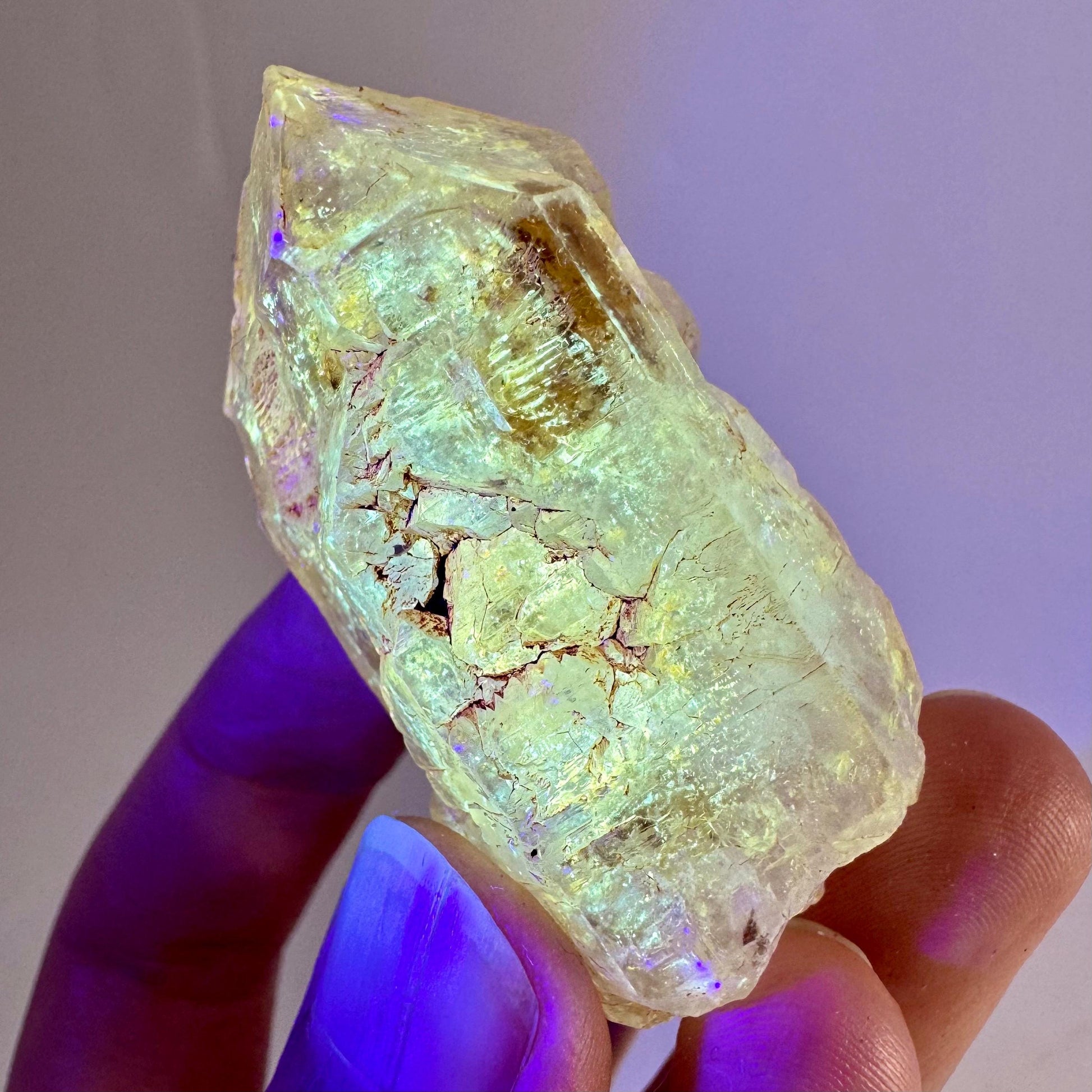UV Reactive Petroleum Quartz (Madagascar) | natural firefly petroleum quartz crystal, fluorescent minerals