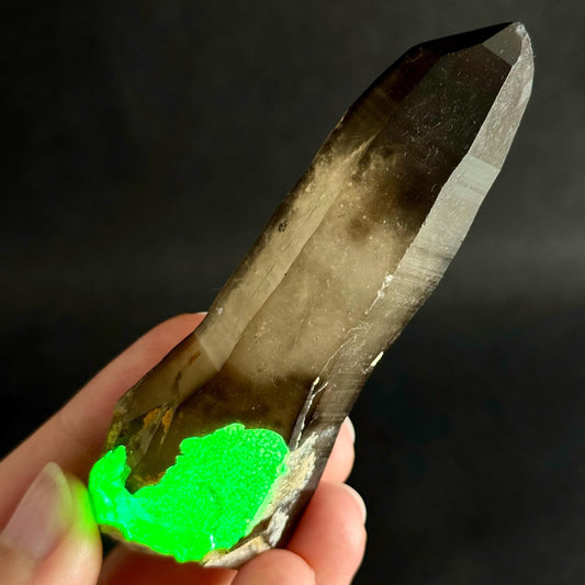 Hyalite Opal on Smoky Quartz (Namibia) | UV reactive Hyalite Opal on smoky quartz crystal, Tessin Habit
