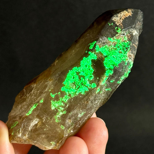 Hyalite Opal on Smoky Quartz (Namibia) | UV reactive Hyalite Opal on smoky quartz crystal