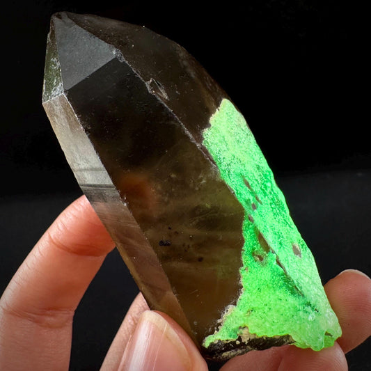 Hyalite Opal on Smoky Quartz (Namibia) | UV reactive Hyalite Opal on smoky quartz crystal