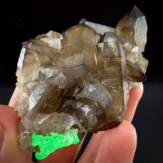 Hyalite Opal on Smoky Quartz (Namibia) | UV reactive Hyalite Opal on smoky quartz crystal
