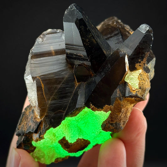 Hyalite Opal on Smoky Quartz (Namibia) | UV reactive Hyalite Opal on smoky quartz crystal