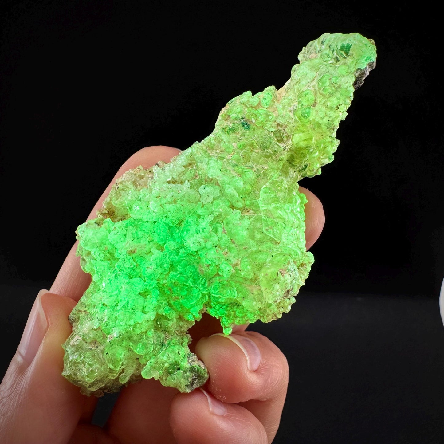 Hyalite Opal (Namibia) | UV reactive Hyalite Opal, daylight fluorescent, mineral specimen