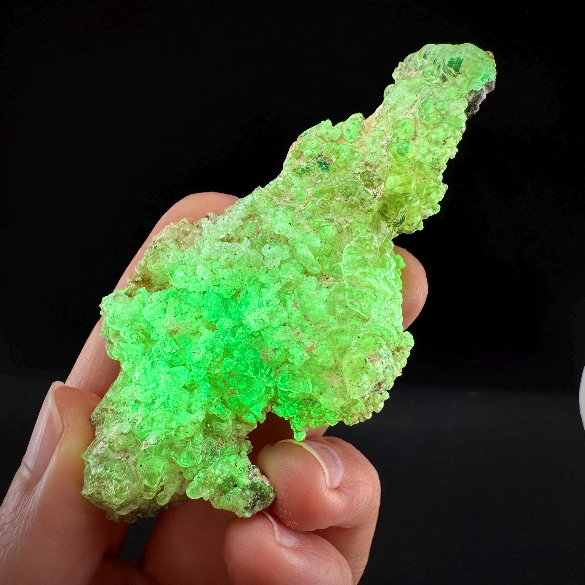 Hyalite Opal (Namibia) | UV reactive Hyalite Opal, daylight fluorescent, mineral specimen
