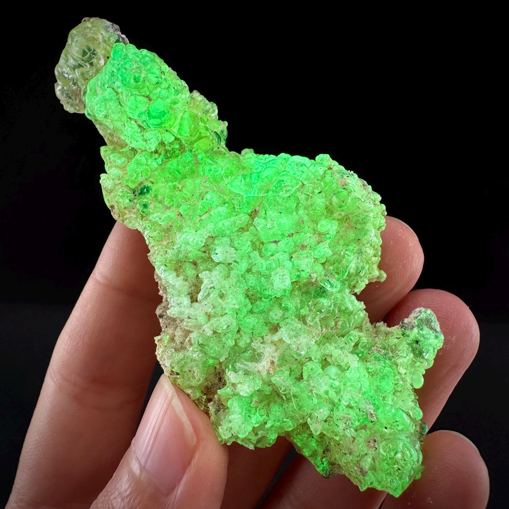 Hyalite Opal (Namibia) | UV reactive Hyalite Opal, daylight fluorescent, mineral specimen