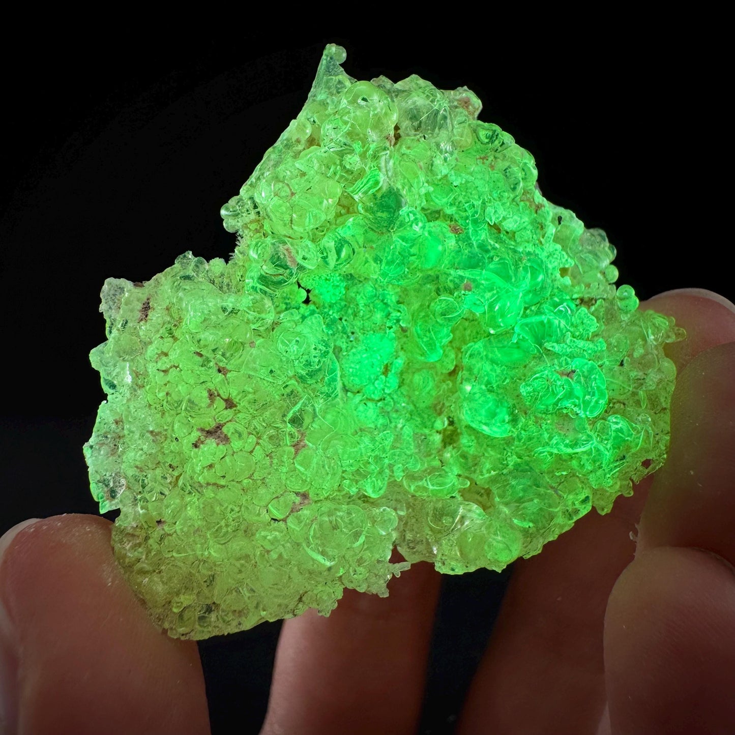 Hyalite Opal (Namibia) | UV reactive Hyalite Opal, daylight fluorescent, mineral specimen