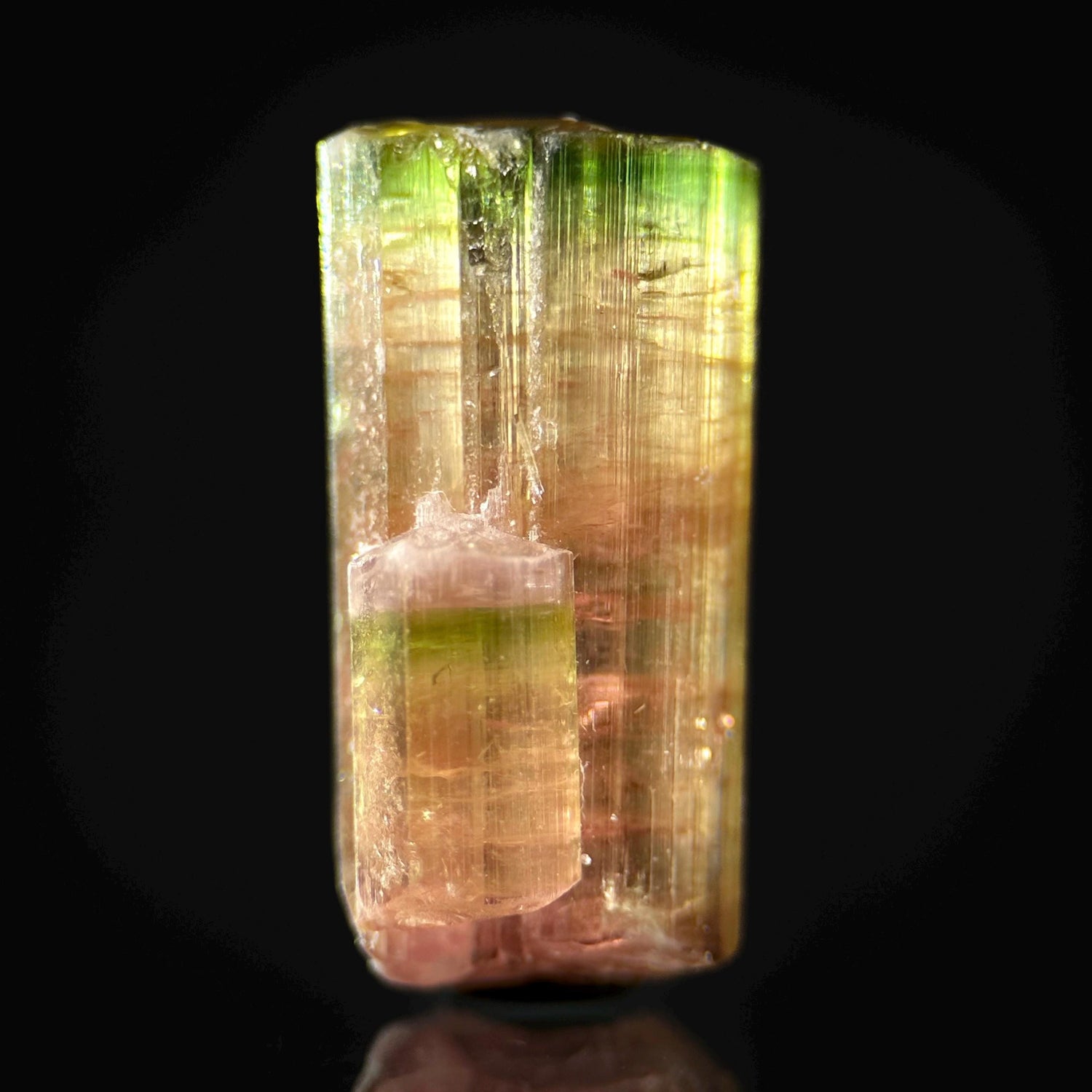 Elbaite Tourmaline (Afghanistan) | natural bi color tourmaline crystal