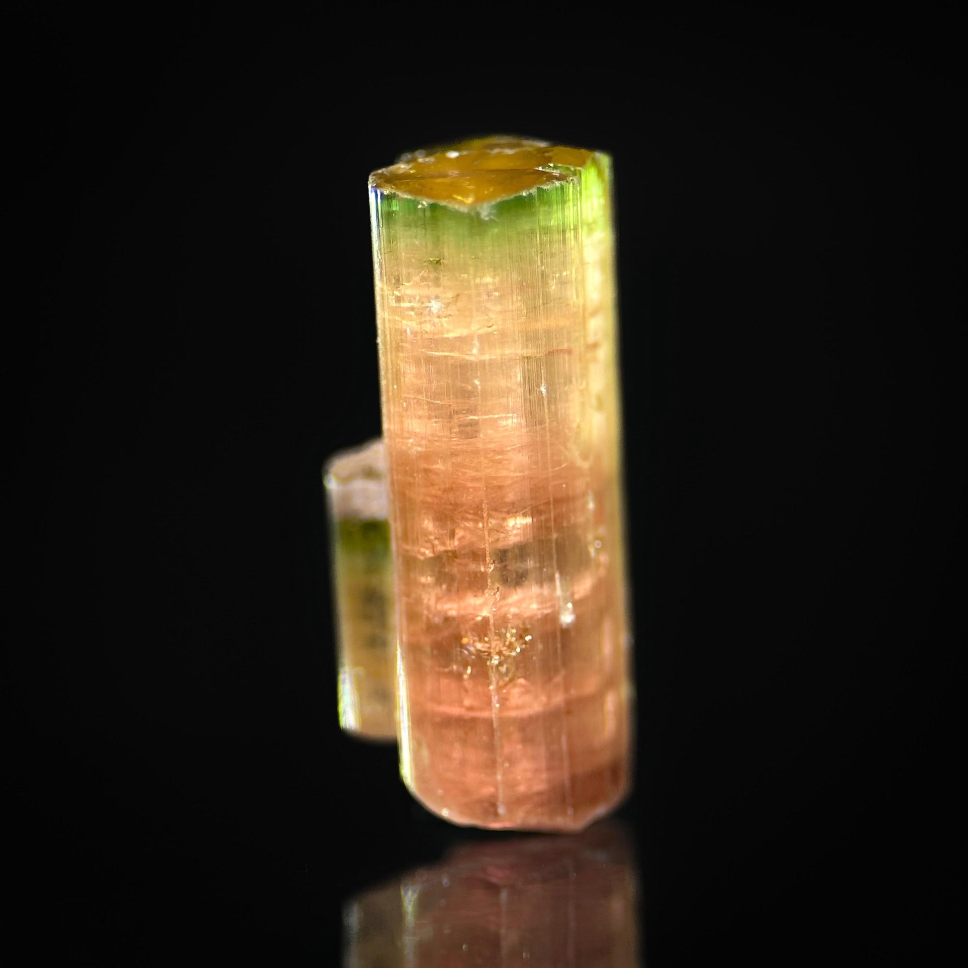 Elbaite Tourmaline (Afghanistan) | natural bi color tourmaline crystal