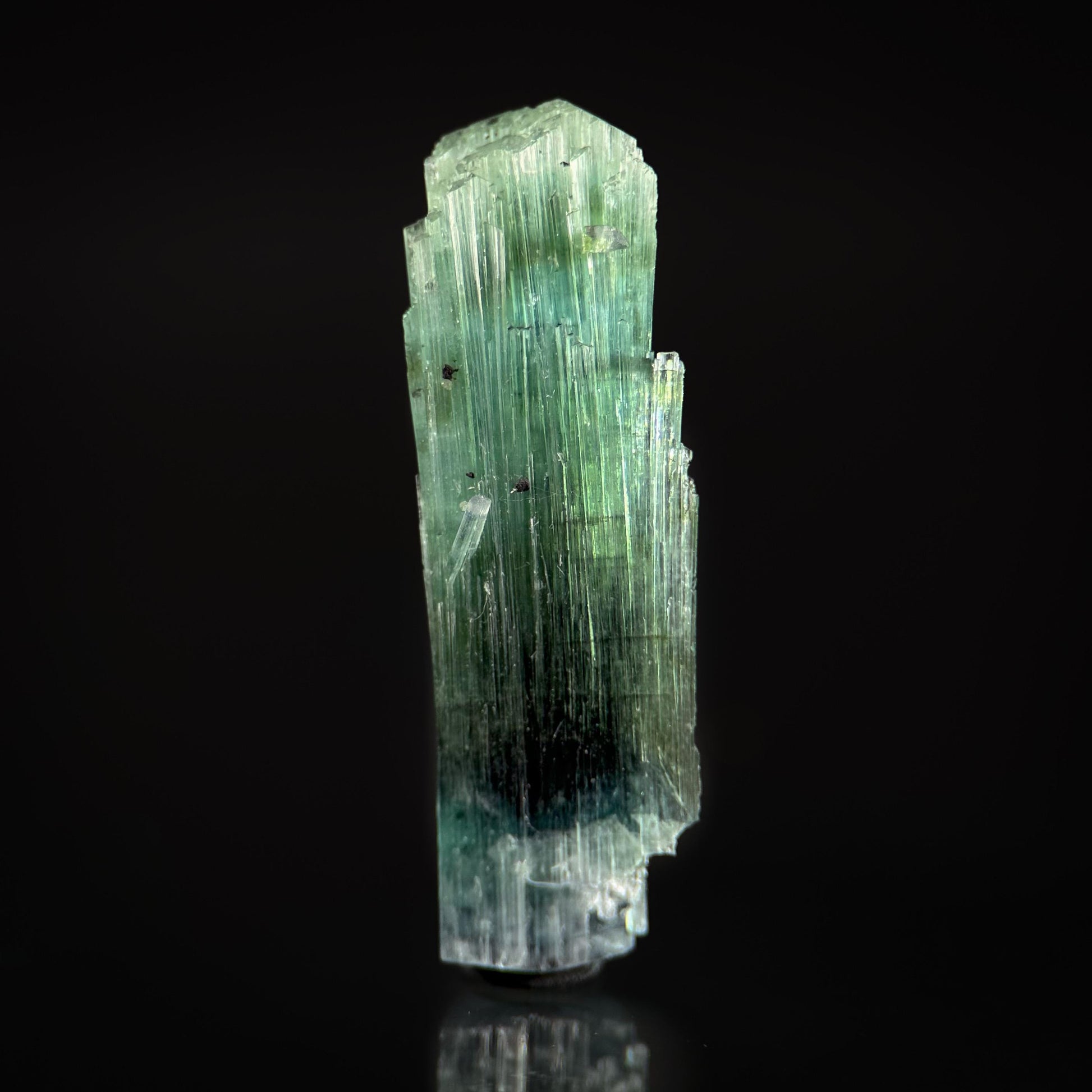Tourmaline var. Indicolite (Pakistan) | blue and green tourmaline crystal, bi color tourmaline mineral specimen