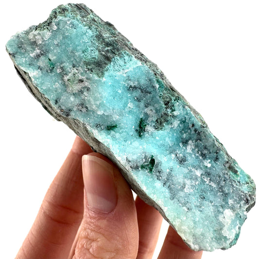 Druzy Chrysocolla w/ Malachite (DR Congo) | blue chrysocolla crystal, mineral specimen