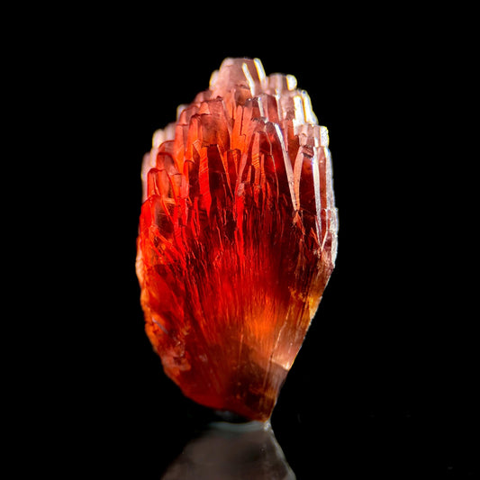Rhodochrosite (South Africa) | natural rhodochrosite crystal, rare mineral specimen