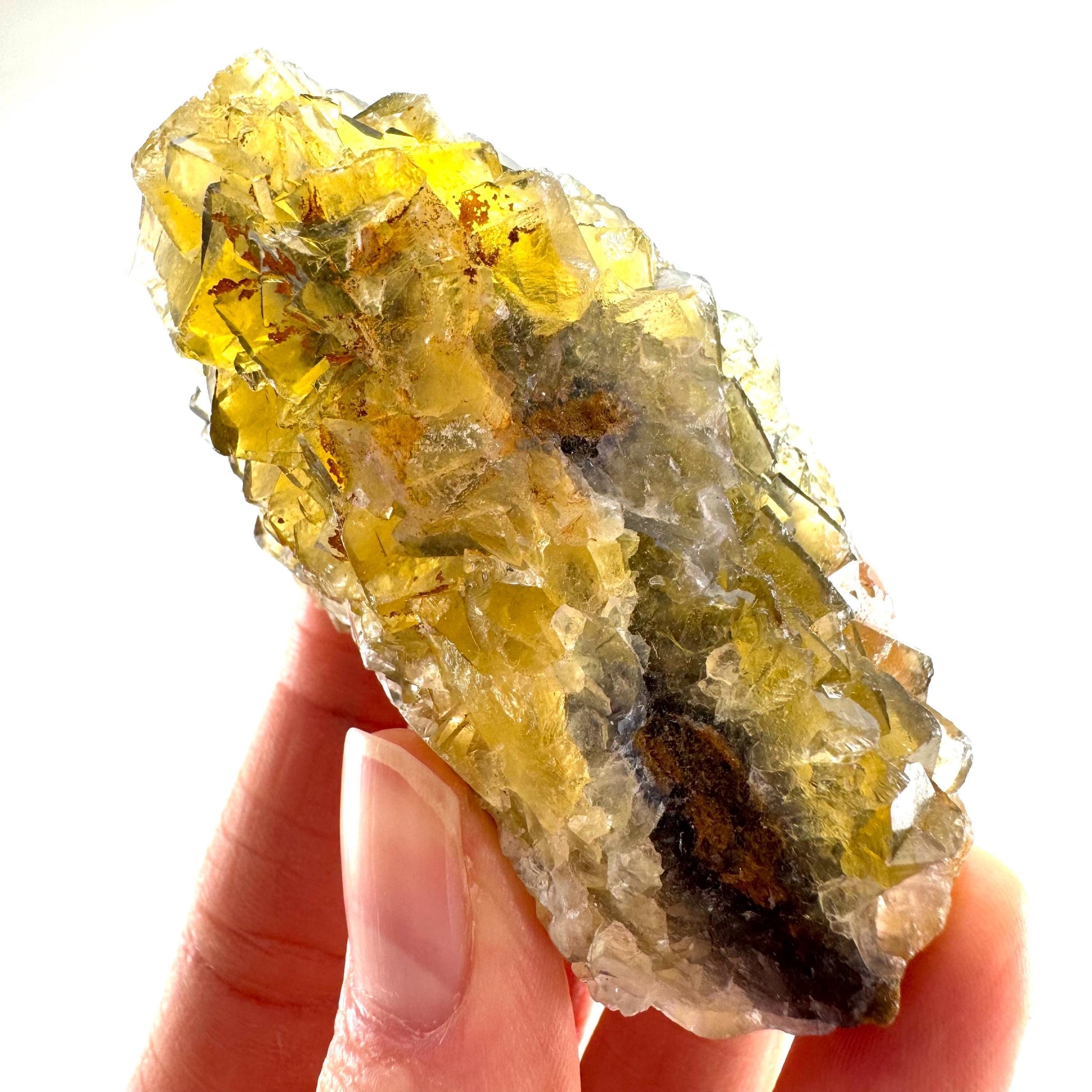Okorusu Fluorite (Namibia) | “Honey Pocket” fluorite cluster, yellow fluorite crystal, mineral specimen