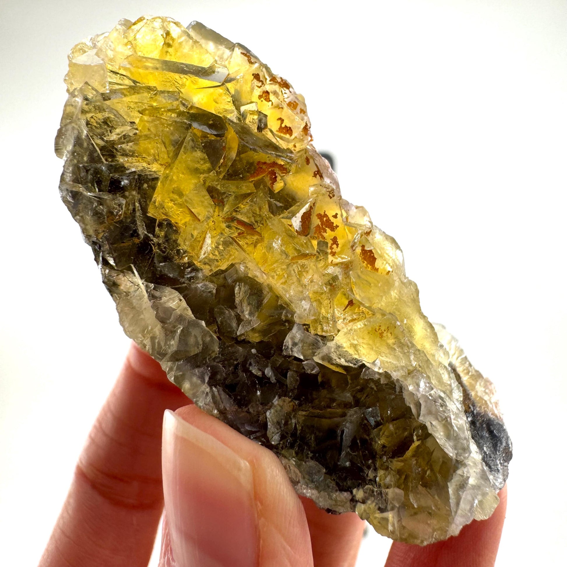 Okorusu Fluorite (Namibia) | “Honey Pocket” fluorite cluster, yellow fluorite crystal, mineral specimen