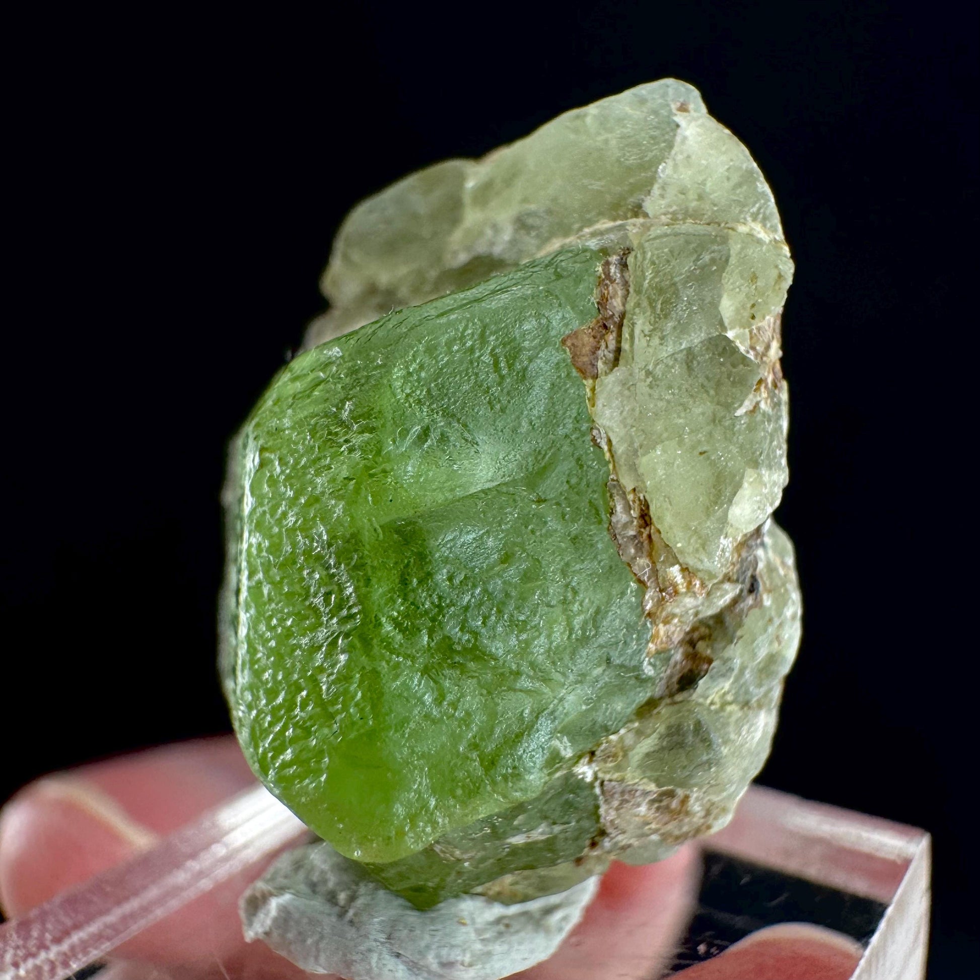Peridot (Pakistan) | naturally terminated peridot crystal, mineral specimen
