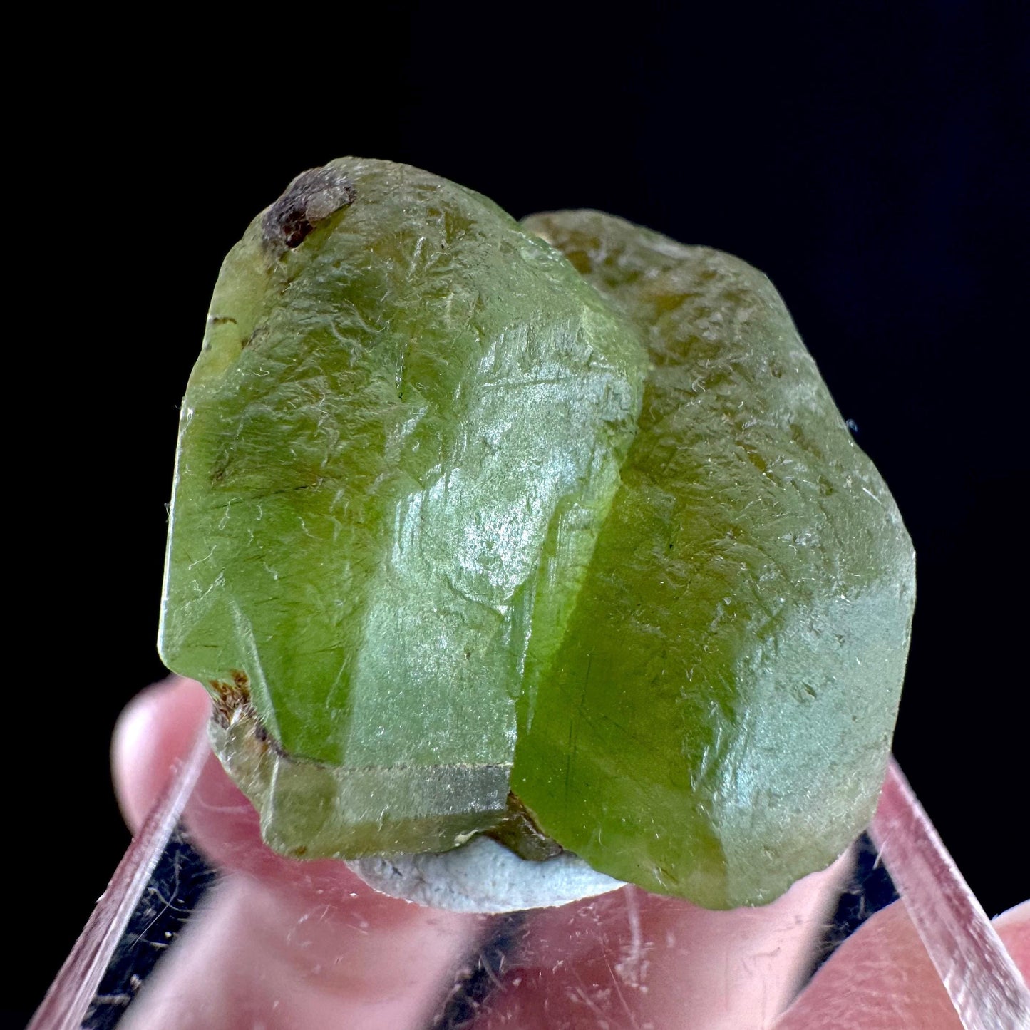Peridot (Pakistan) | naturally terminated peridot crystal, mineral specimen