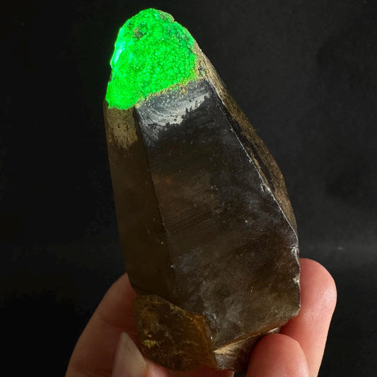 Hyalite Opal on Smoky Quartz (Namibia) | UV reactive Hyalite Opal on smoky quartz crystal, Tessin Habit