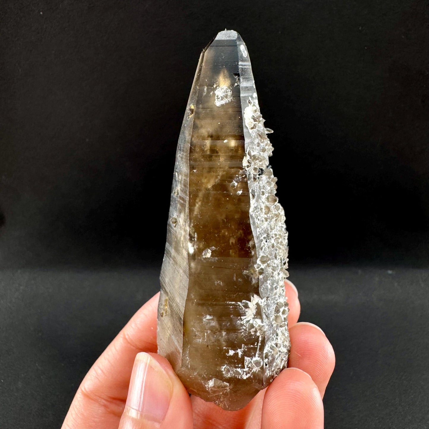 Tessin Habit Smoky Quartz (Namibia) | Natural smoky quartz crystal, mineral specimen
