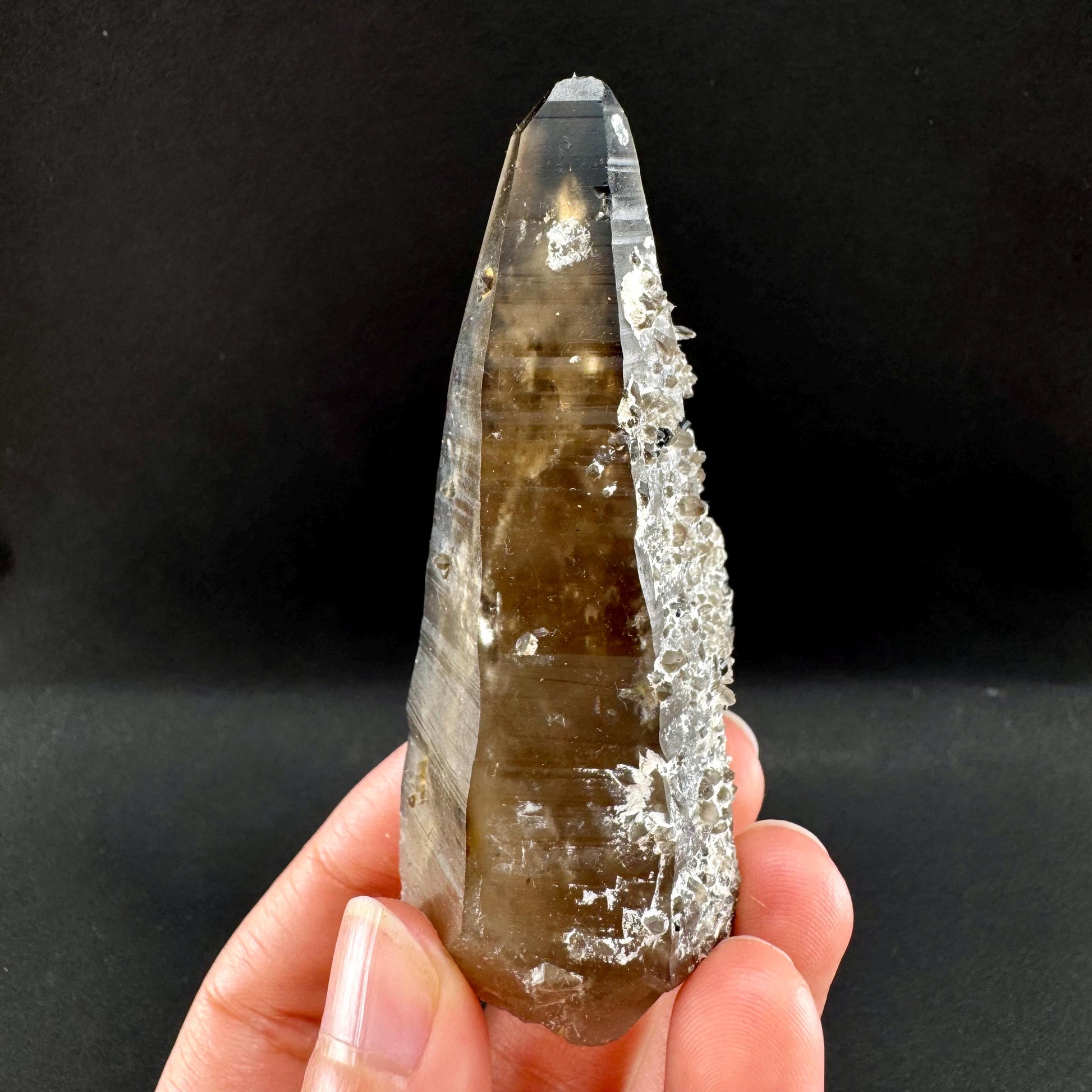 Tessin Habit Smoky Quartz (Namibia) | Natural smoky quartz crystal, mineral specimen