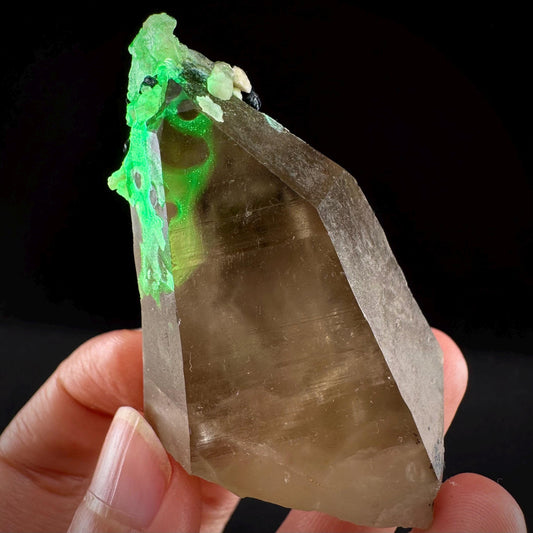 Hyalite Opal on Smoky Quartz (Namibia) | UV reactive Hyalite Opal on smoky quartz crystal, Tessin Habit