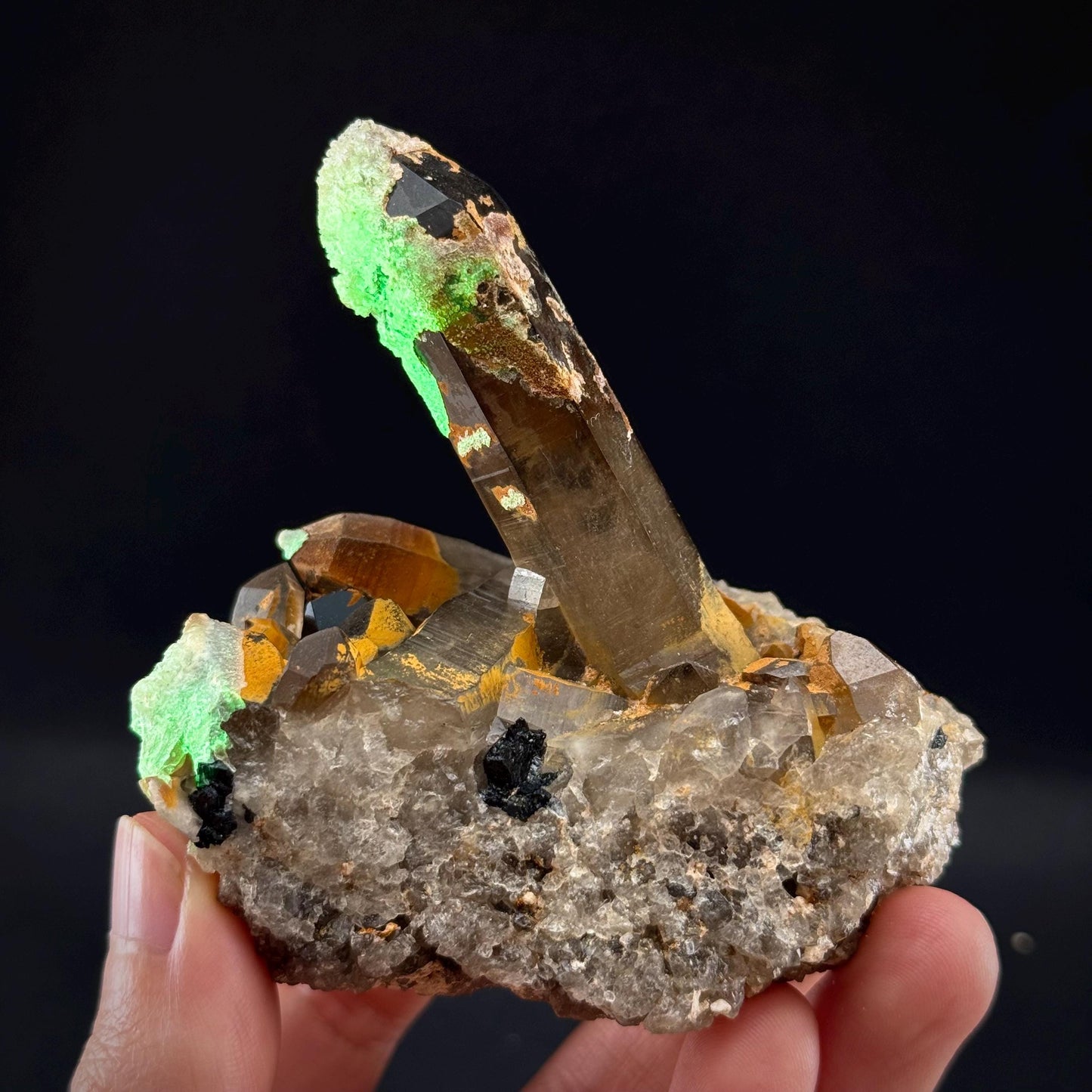 Hyalite Opal on Smoky Quartz (Namibia) | UV reactive Hyalite Opal on smoky quartz crystal