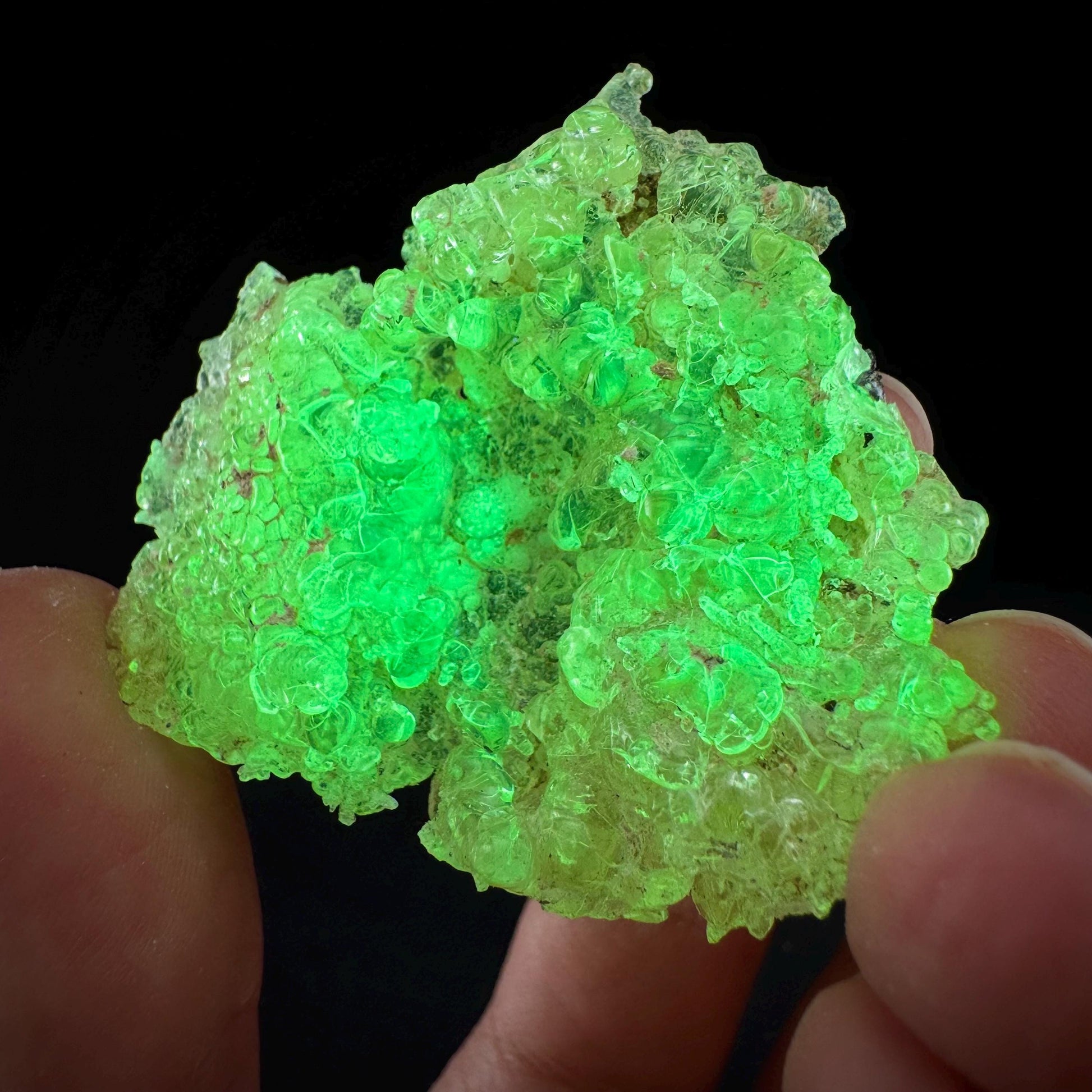 Hyalite Opal (Namibia) | UV reactive Hyalite Opal, daylight fluorescent, mineral specimen