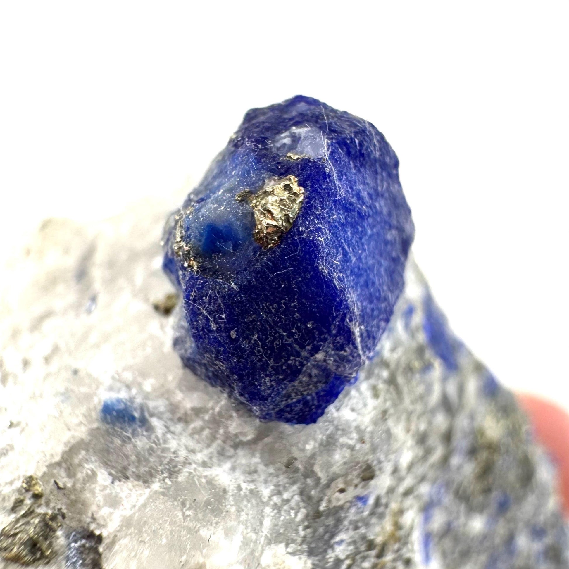 Lazurite & Pyrite on Calcite (Afghanistan) | lazurite crystal, mineral specimen