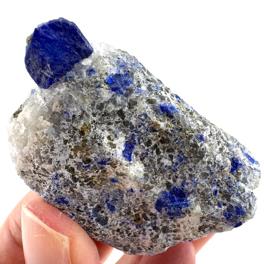 Lazurite & Pyrite on Calcite (Afghanistan) | lazurite crystal, mineral specimen