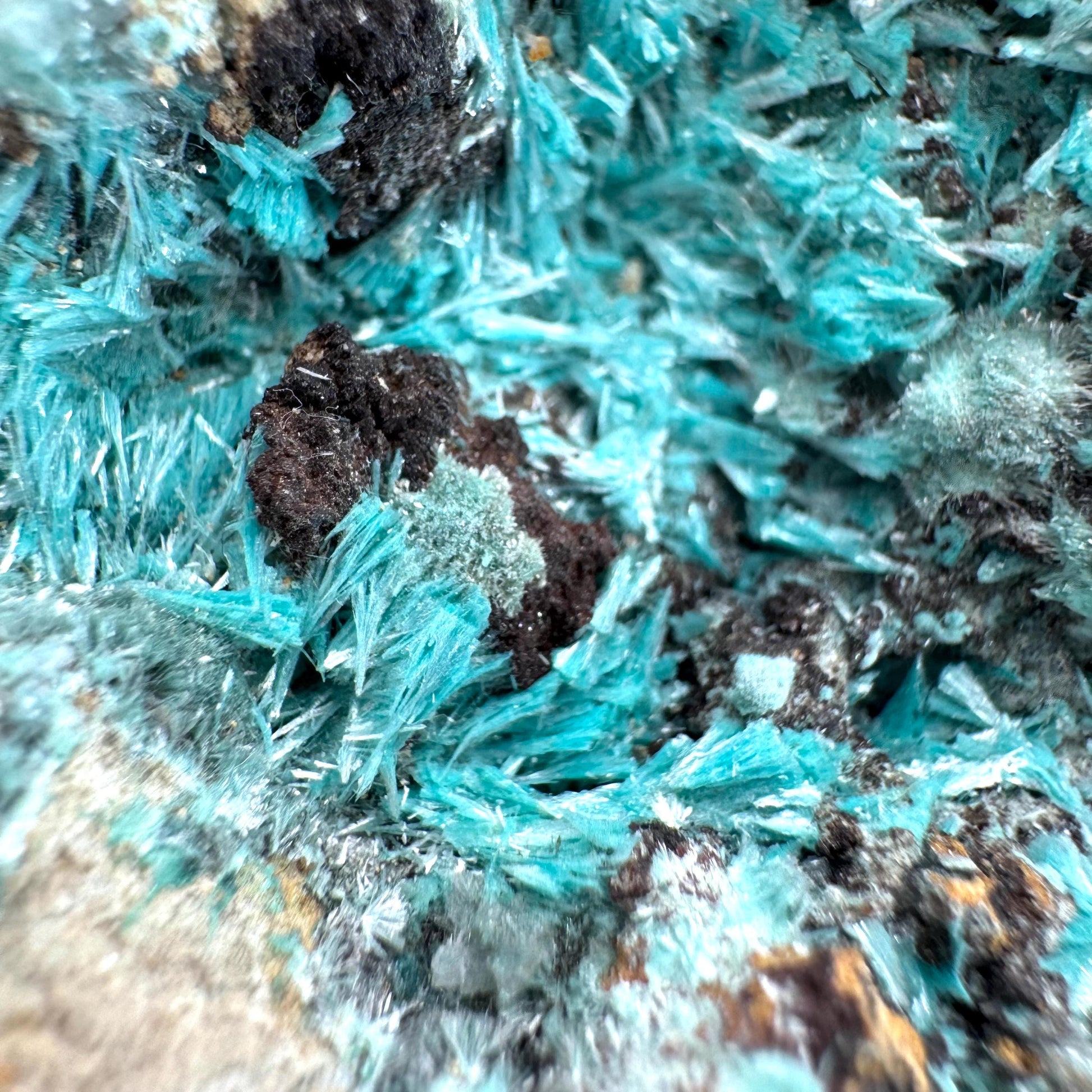 Aurichalcite (Arizona, USA) | blue aurichalcite crystal, rare mineral specimen