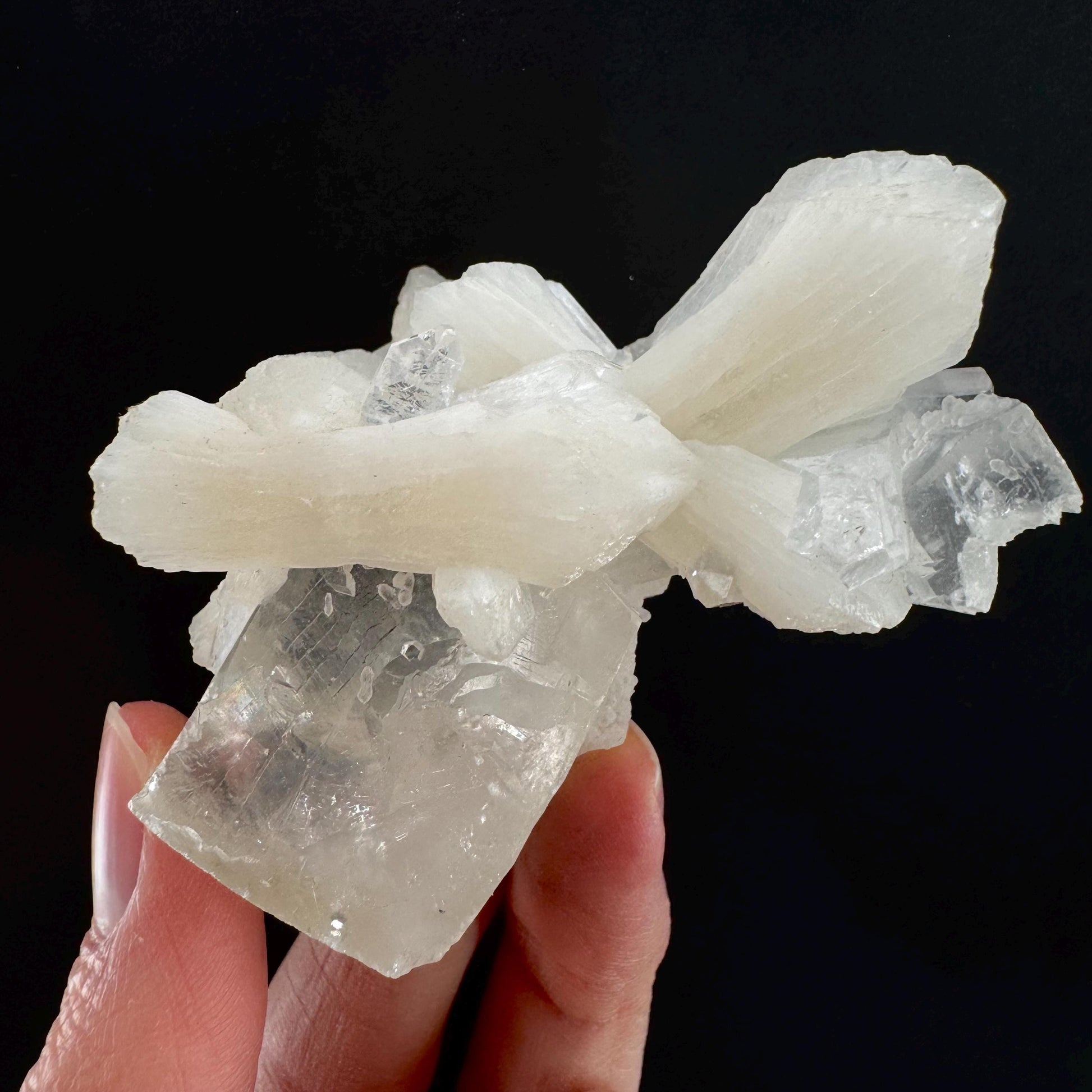 Apophyllite w/ Stilbite (India) | apophyllite crystal, mineral specimen