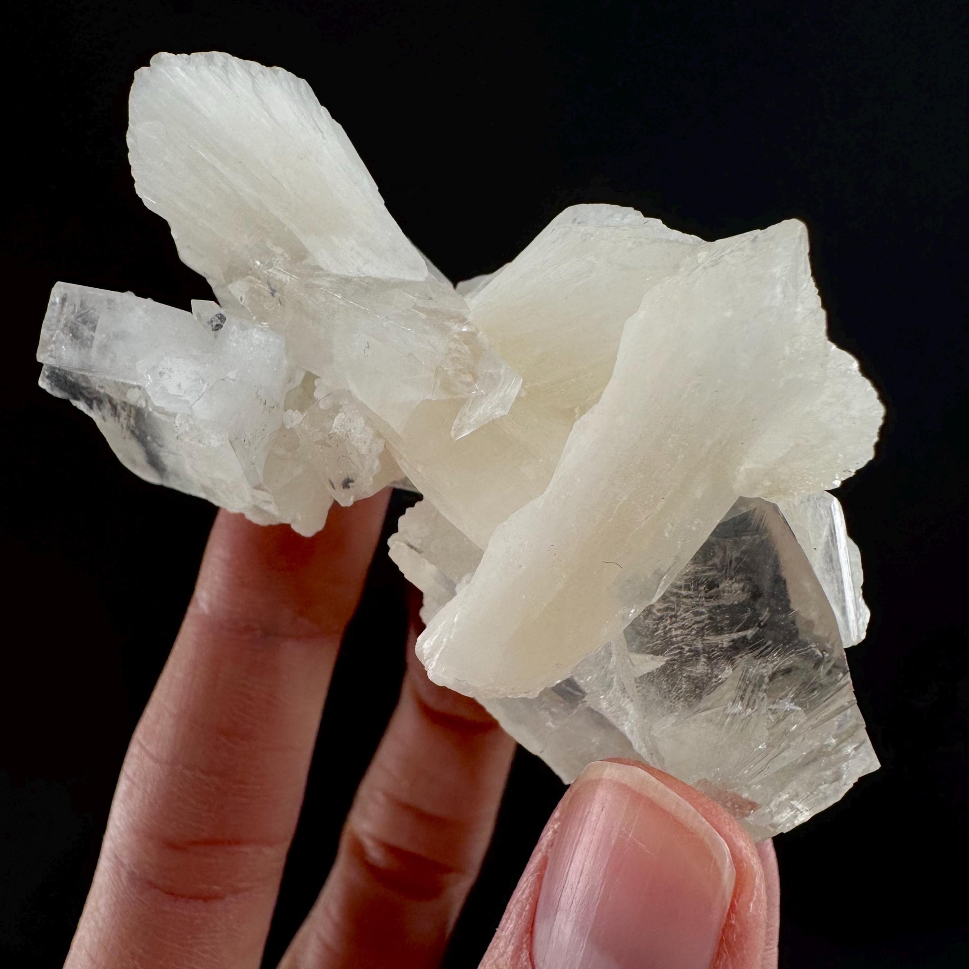 Apophyllite w/ Stilbite (India) | apophyllite crystal, mineral specimen