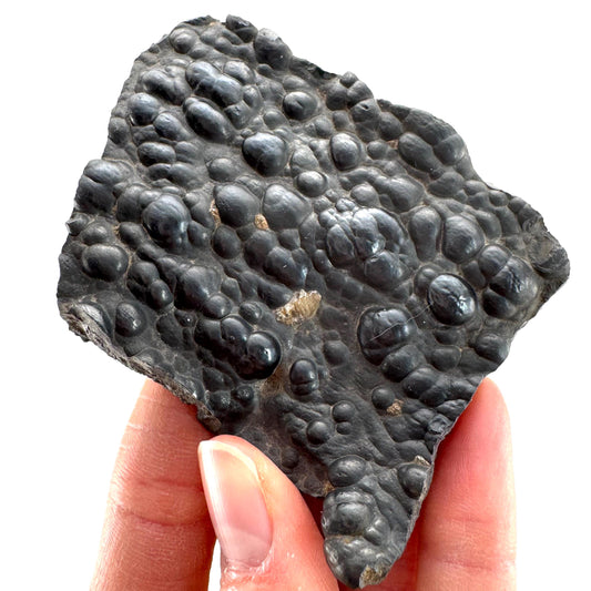Botryoidal Hematite (Morocco) | black hematite crystal, mineral specimen