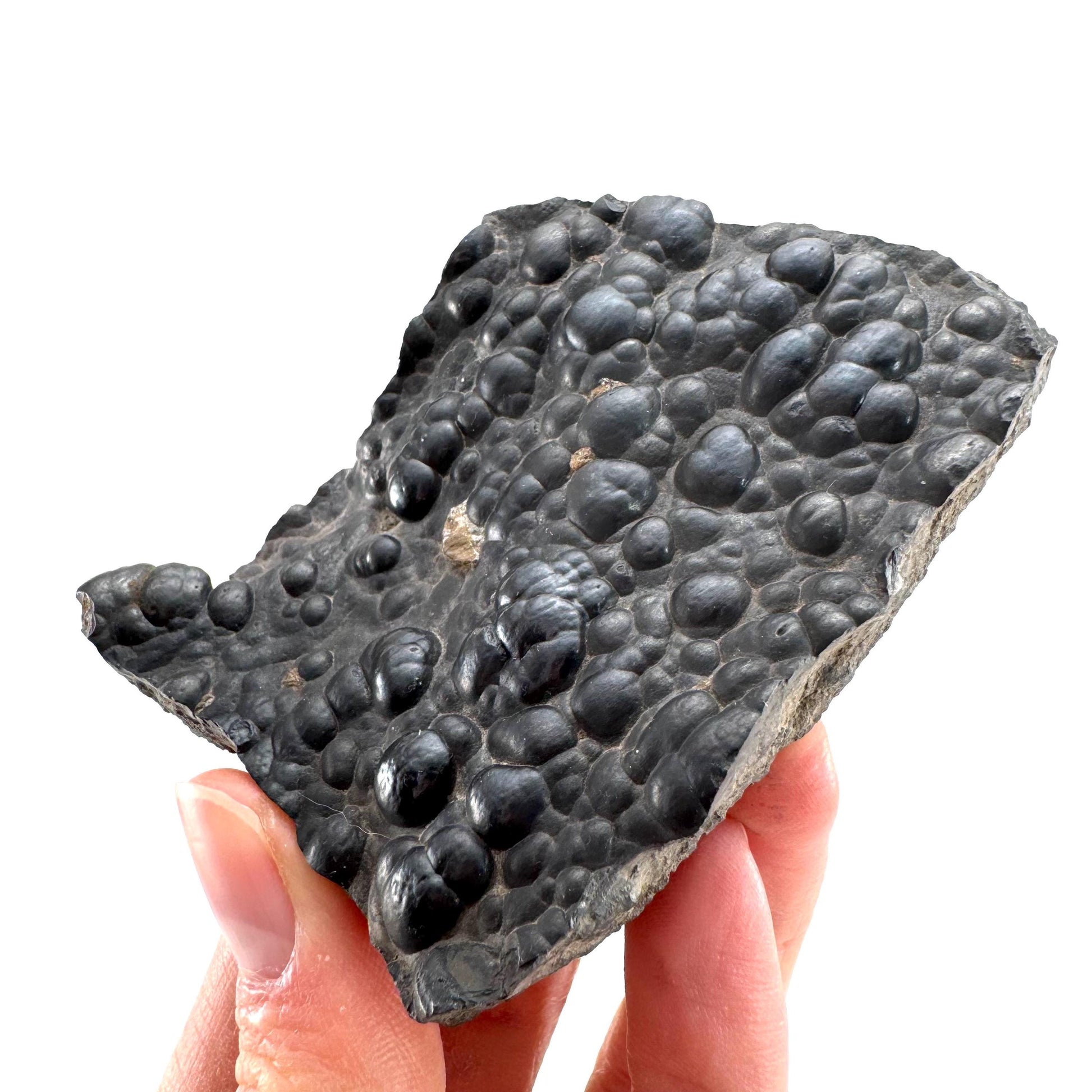 Botryoidal Hematite (Morocco) | black hematite crystal, mineral specimen