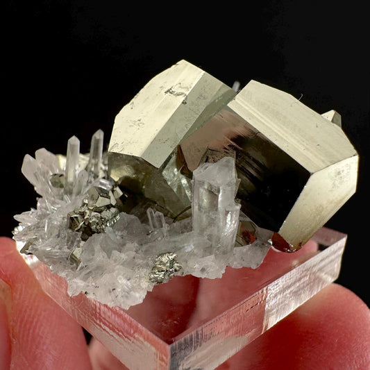 Pyrite on Quartz (Indonesia) | raw pyrite, natural pyrite cluster, quartz crystal, mineral specimen
