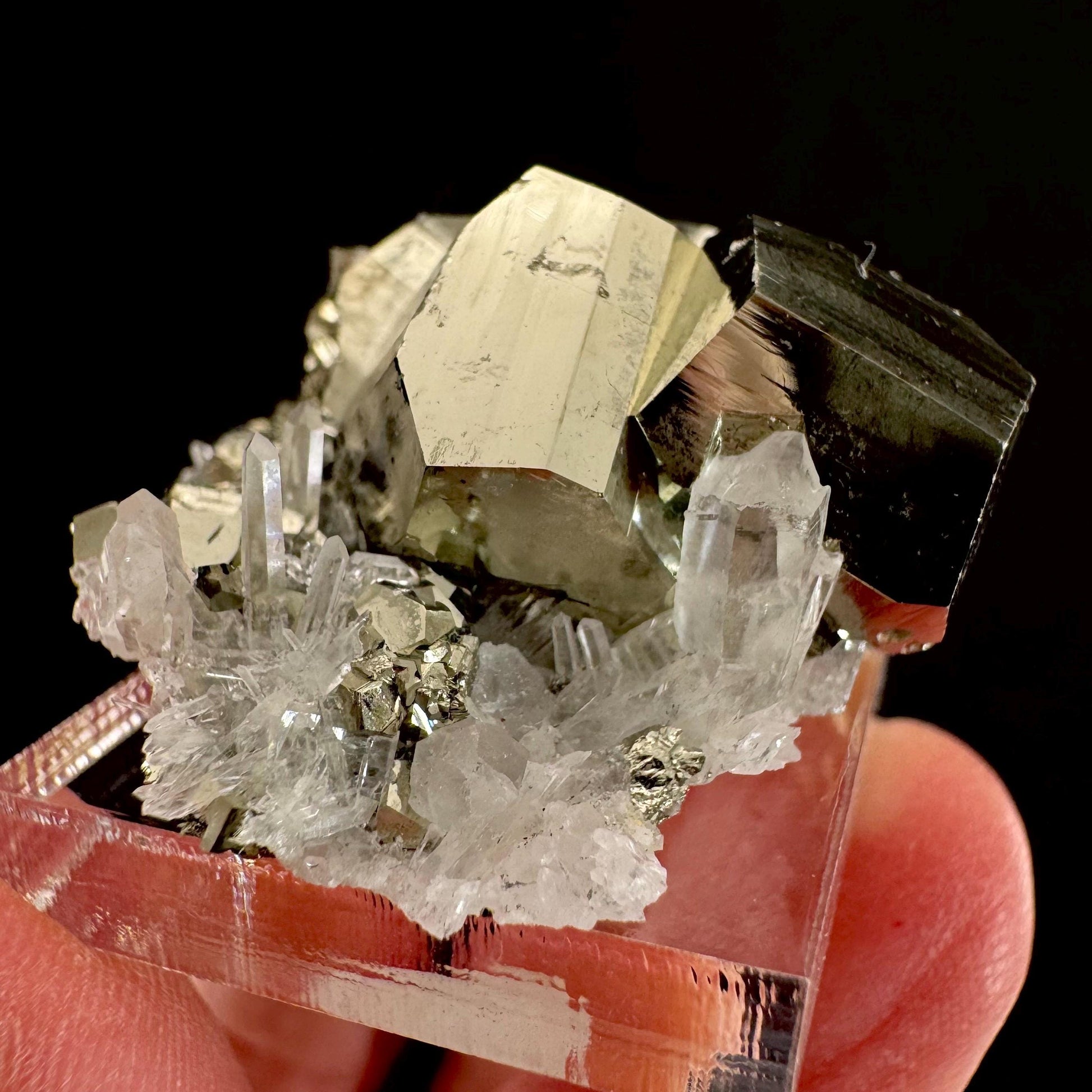 Pyrite on Quartz (Indonesia) | raw pyrite, natural pyrite cluster, quartz crystal, mineral specimen