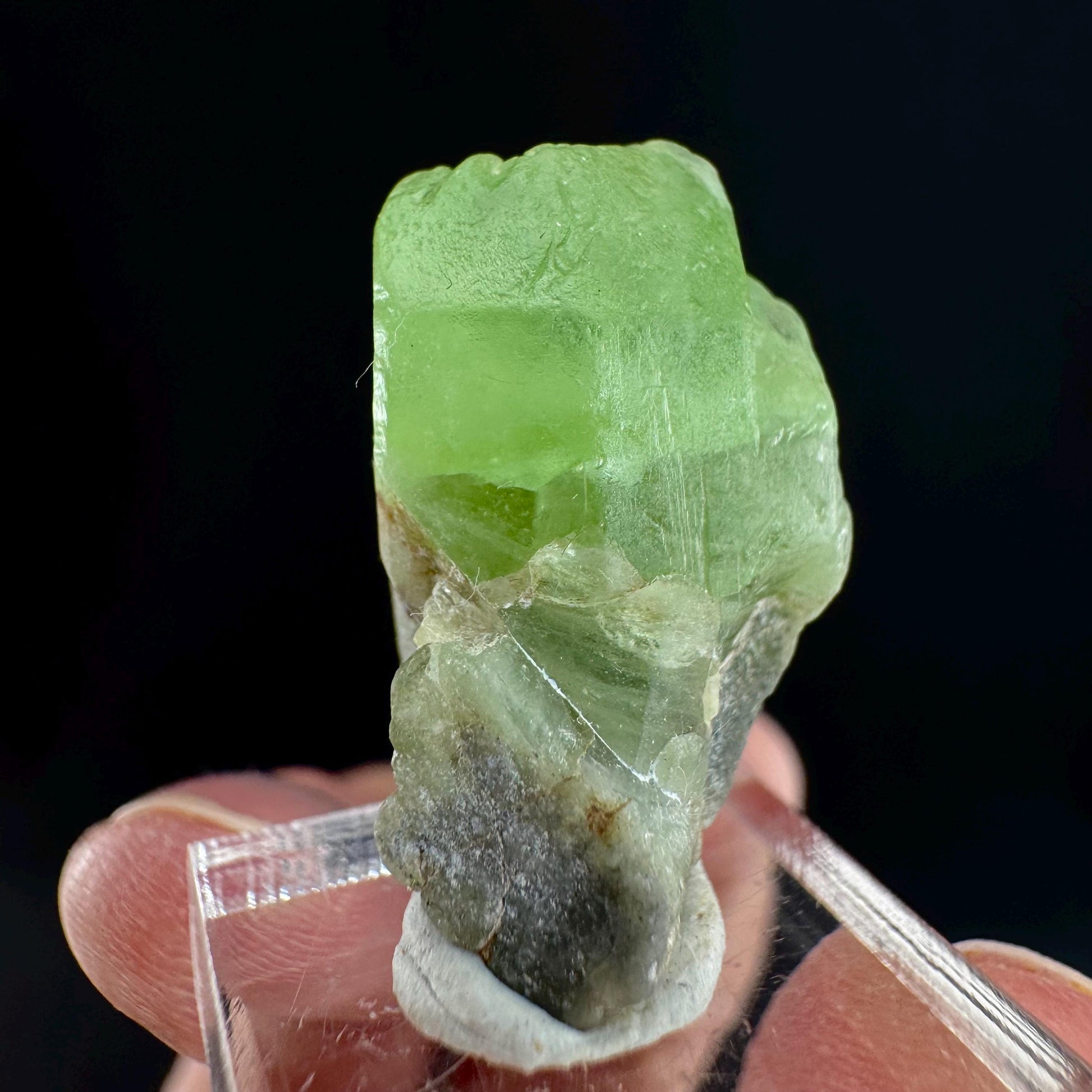 Peridot (Pakistan) | naturally terminated peridot crystal, mineral specimen
