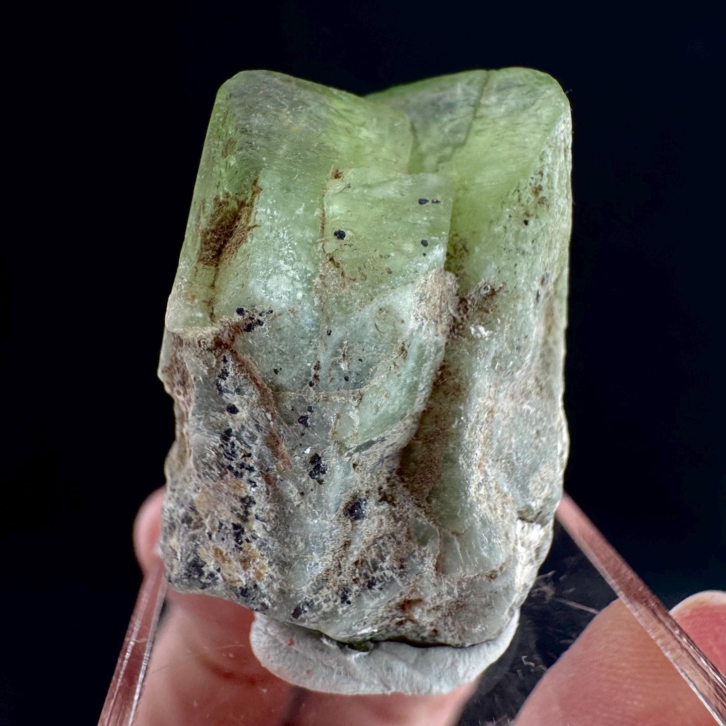 Peridot (Pakistan) | naturally terminated peridot crystal, mineral specimen