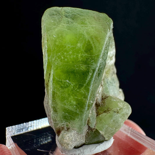 Peridot (Pakistan) | naturally terminated peridot crystal, mineral specimen