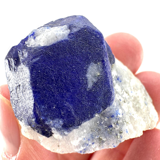 Lazurite on Calcite (Afghanistan) | lazurite crystal, mineral specimen