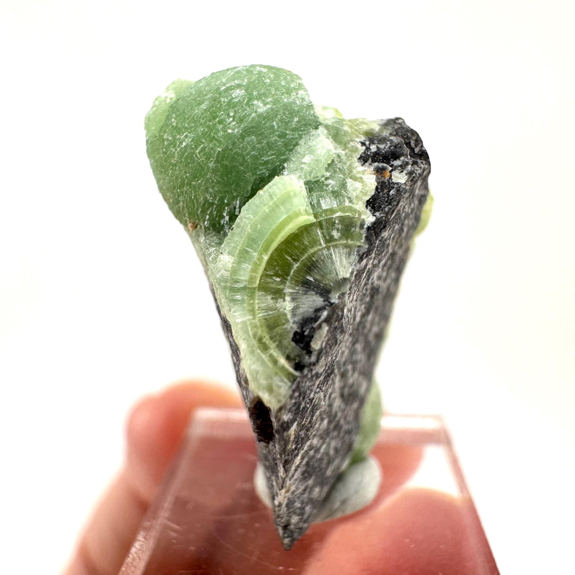 Wavellite (Arkansas, USA) | Wavellite crystal, mineral specimen