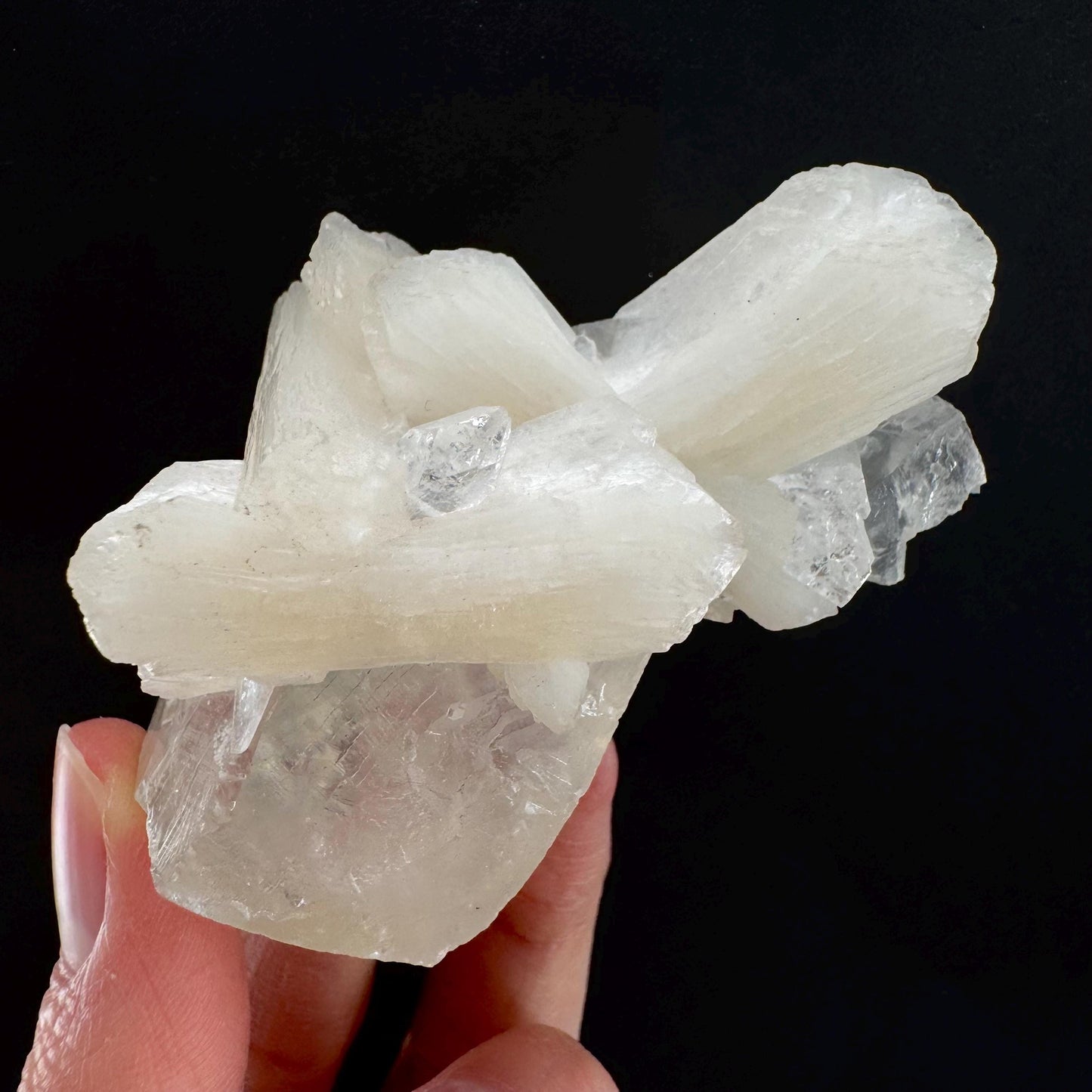 Apophyllite w/ Stilbite (India) | apophyllite crystal, mineral specimen