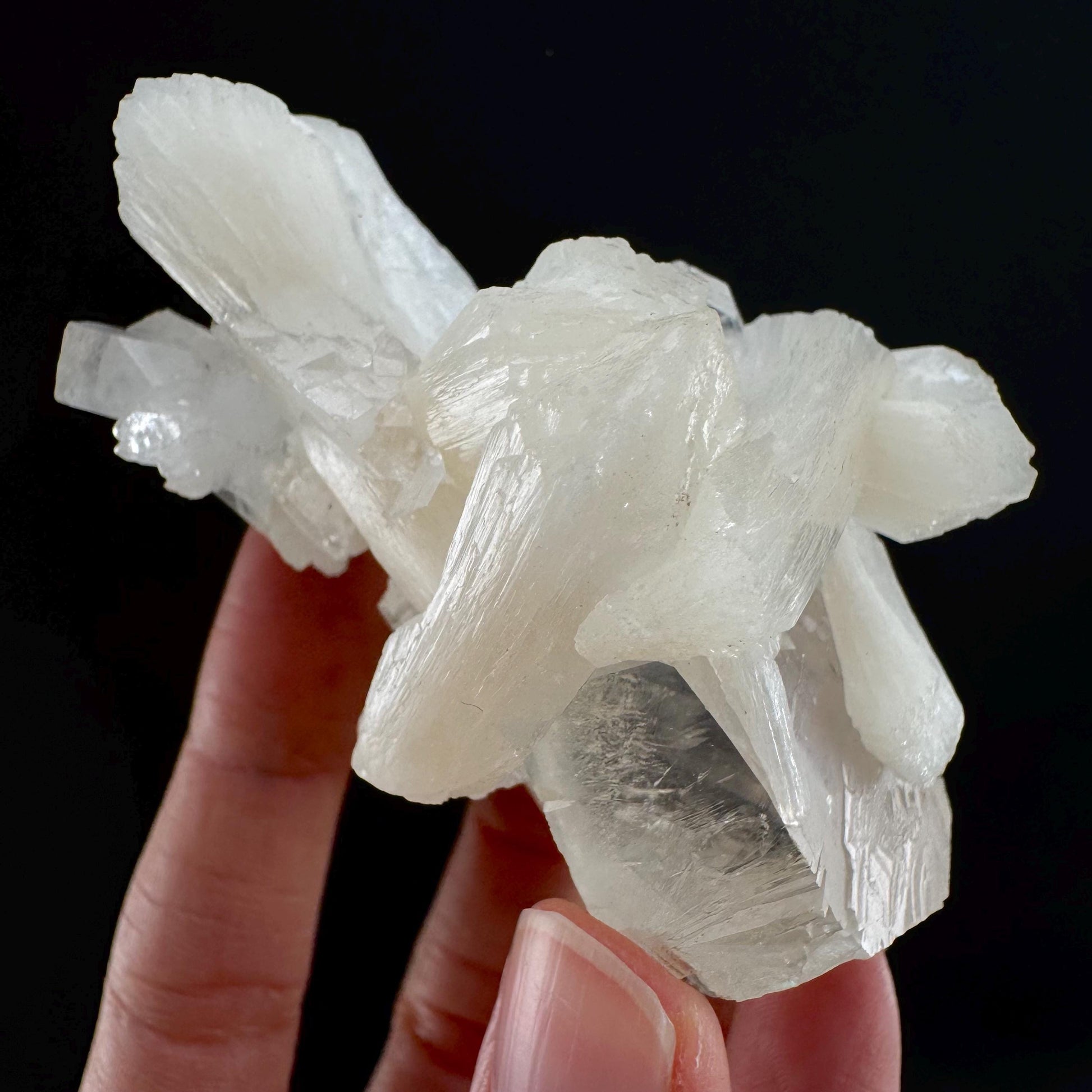 Apophyllite w/ Stilbite (India) | apophyllite crystal, mineral specimen