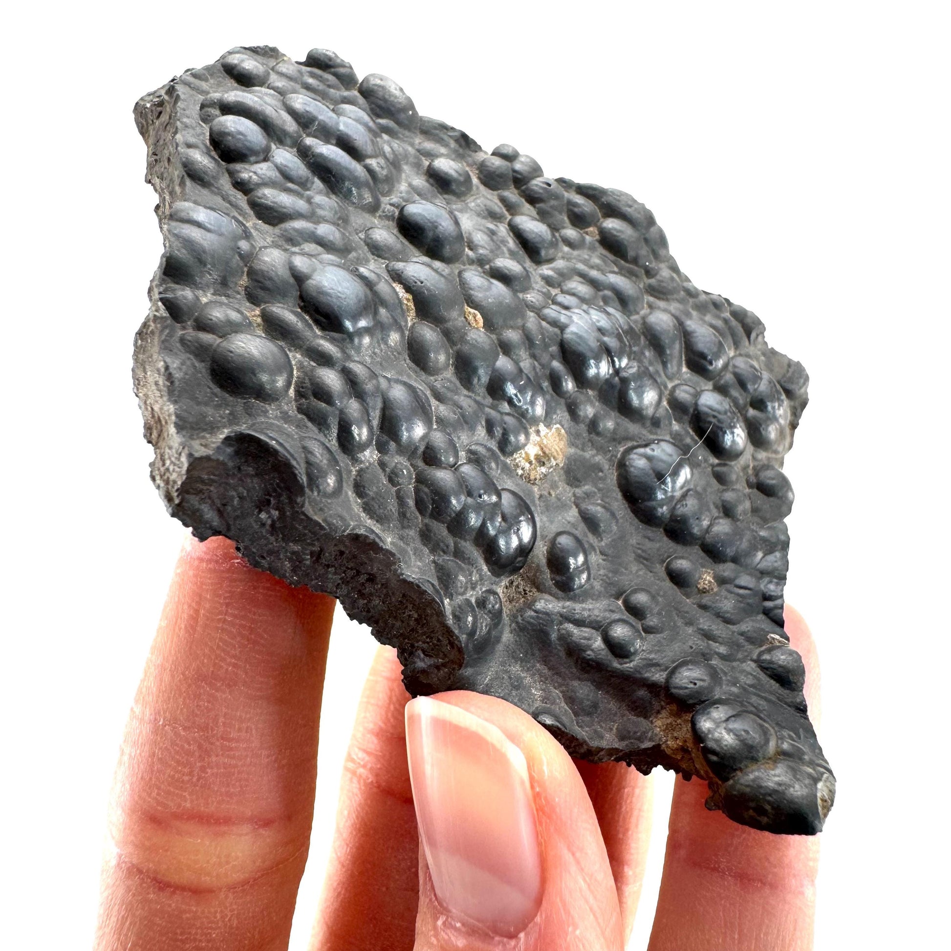 Botryoidal Hematite (Morocco) | black hematite crystal, mineral specimen