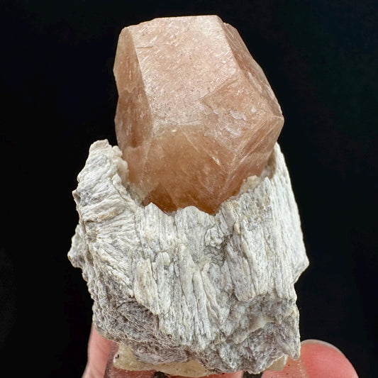 Grossular Garnet on Matrix (Mexico) | orange garnet crystal, mineral specimen