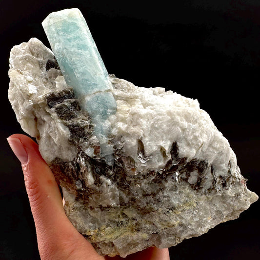 Aquamarine w/ Muscovite & Albite (Pakistan) | natural aquamarine crystal, mineral specimen