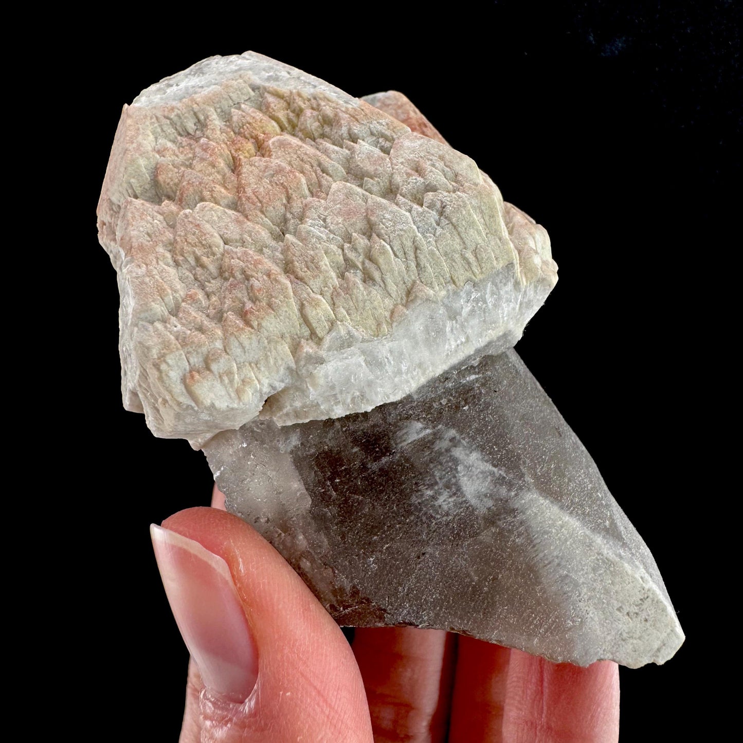 Smoky Quartz Scepter (Brazil) | smoky quartz crystal point, mineral specimen