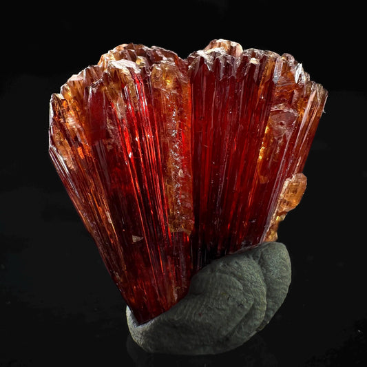 Rhodochrosite (South Africa) | natural rhodochrosite crystal, rare mineral specimen