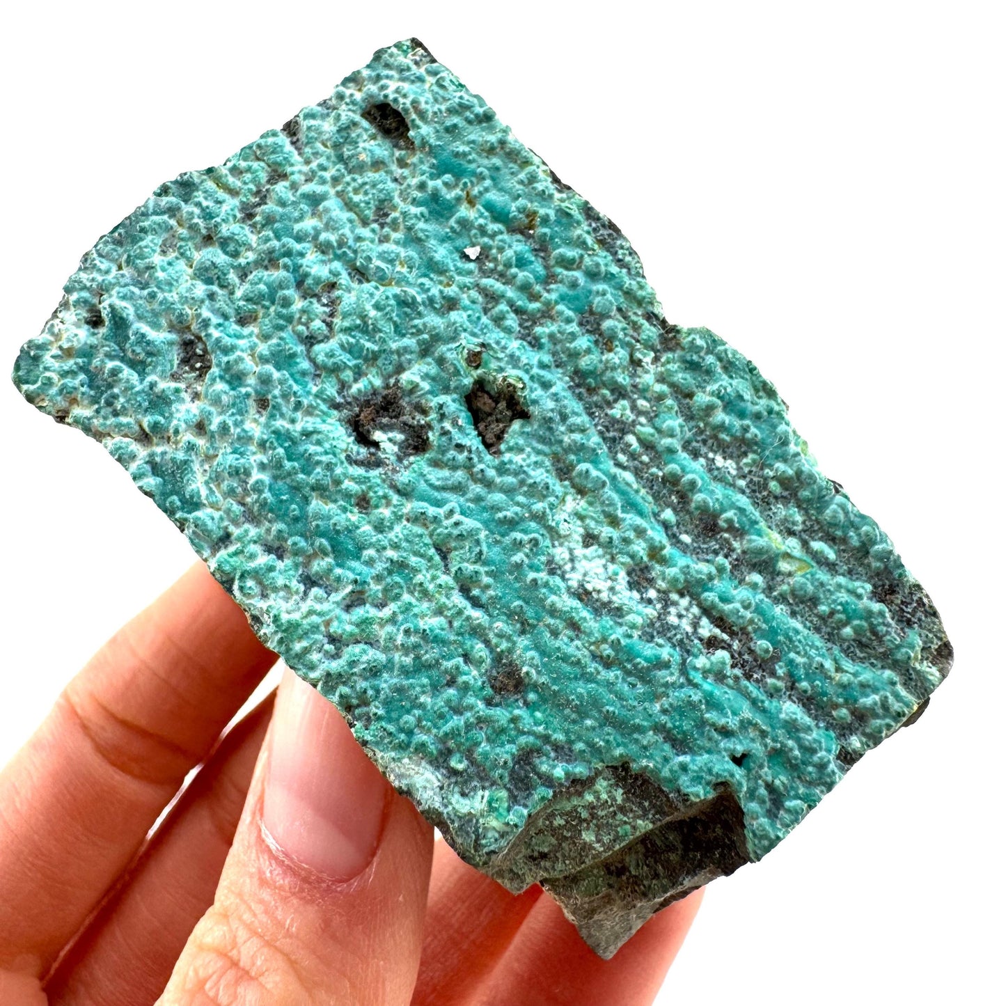 Chrysocolla / Gem Silica (DR Congo) | botryoidal chrysocolla crystal, mineral specimen