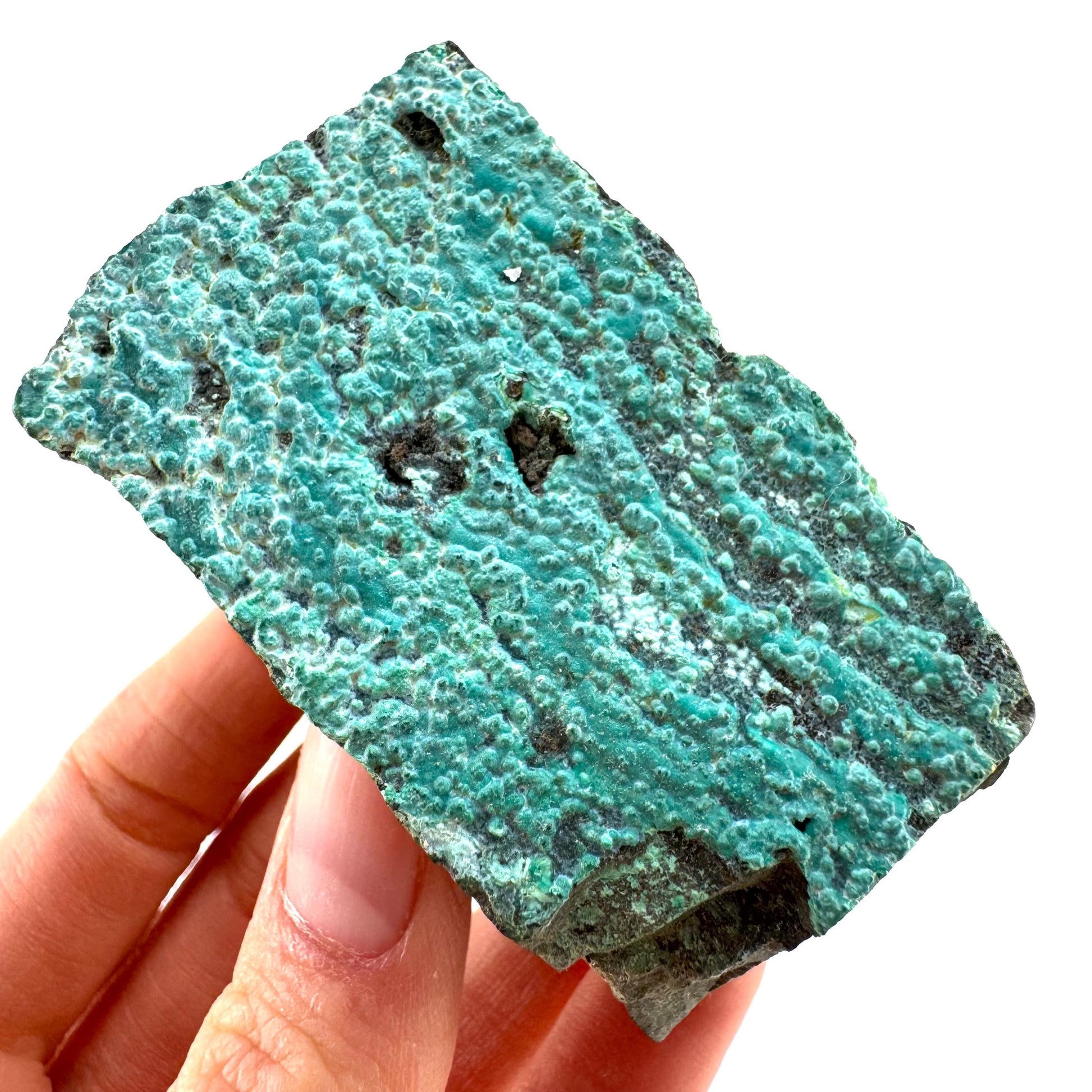 Chrysocolla / Gem Silica (DR Congo) | botryoidal chrysocolla crystal, mineral specimen