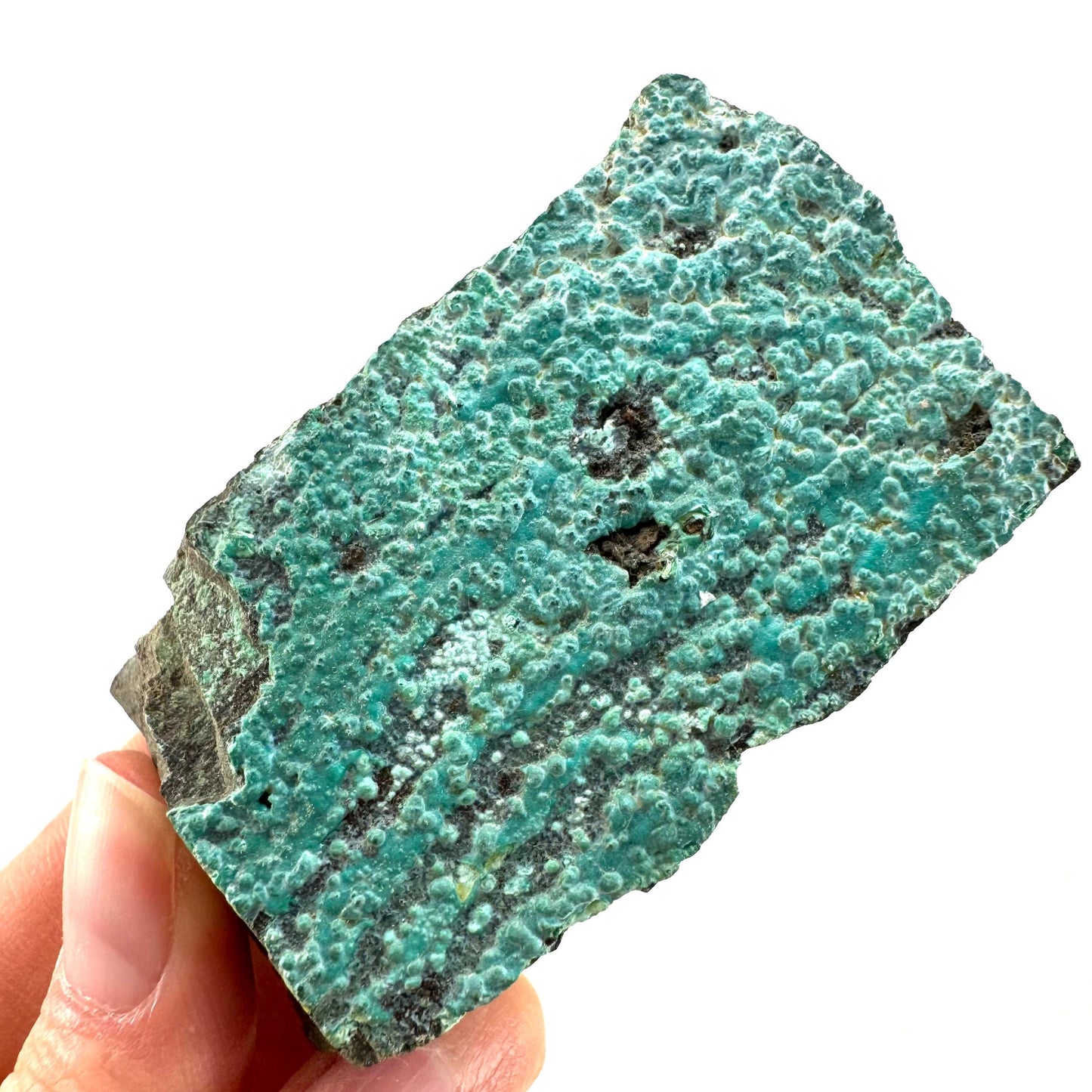 Chrysocolla / Gem Silica (DR Congo) | botryoidal chrysocolla crystal, mineral specimen