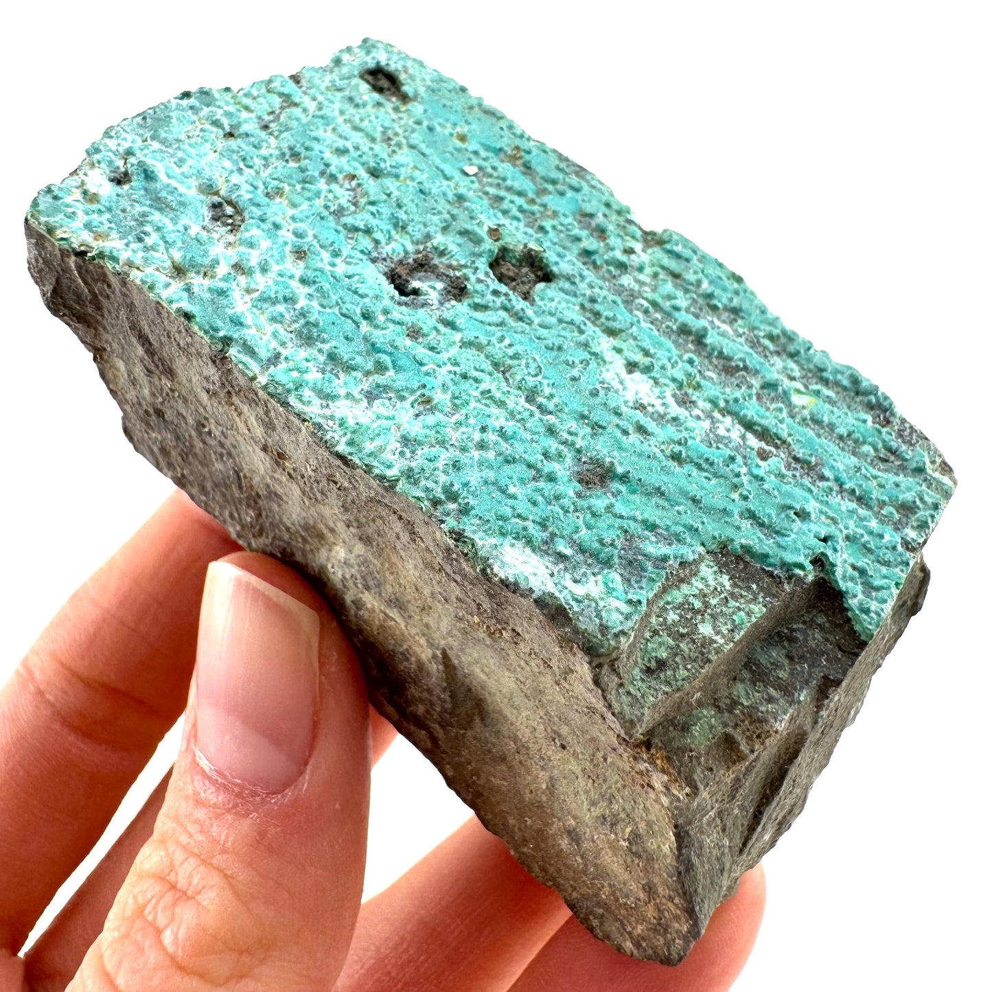 Chrysocolla / Gem Silica (DR Congo) | botryoidal chrysocolla crystal, mineral specimen
